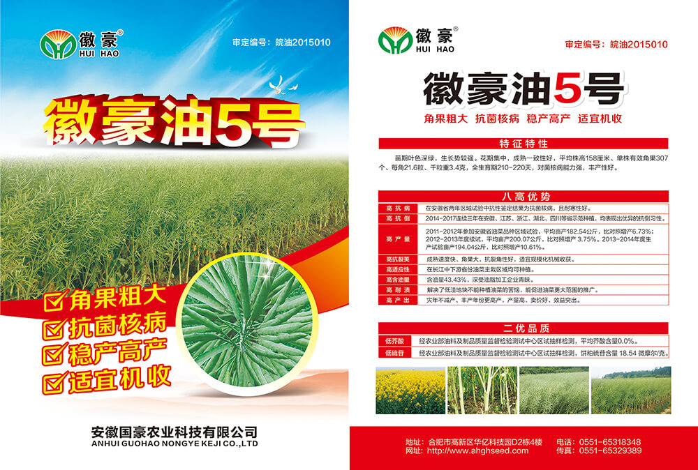 徽豪油5號(hào) (1).jpg
