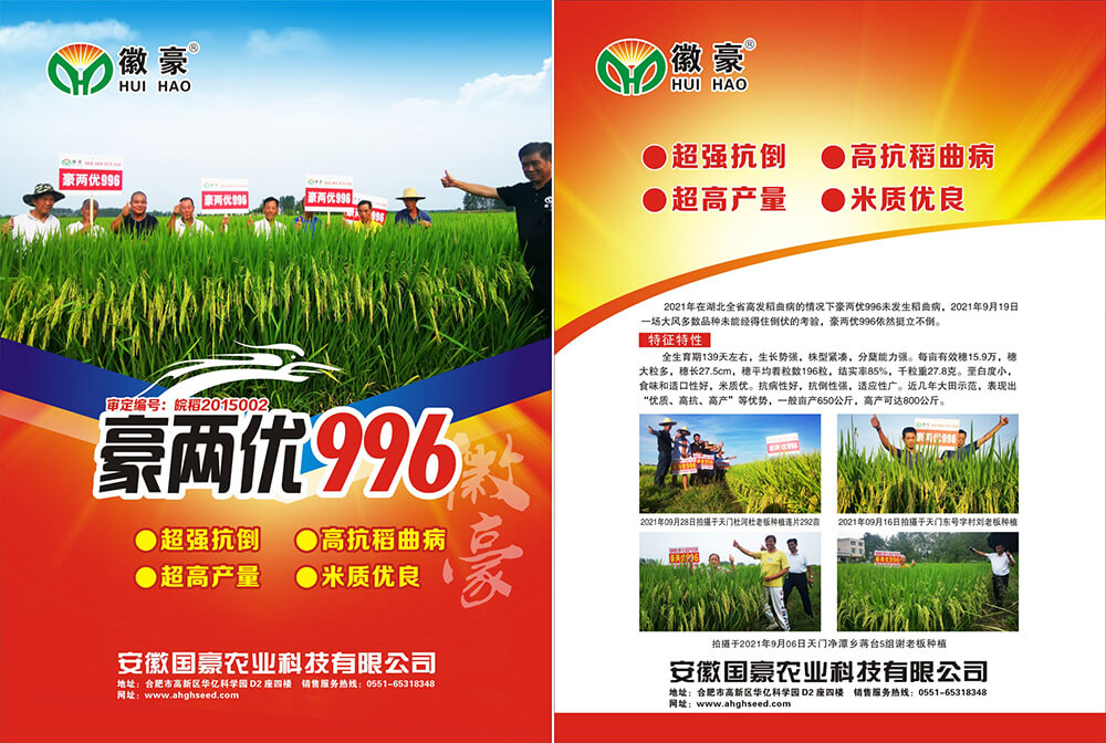 1655862840994341.jpg 豪兩優(yōu)996 (1).jpg