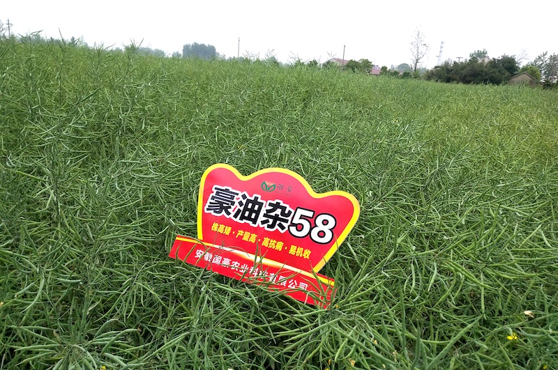 1676447202868608.png 3.png