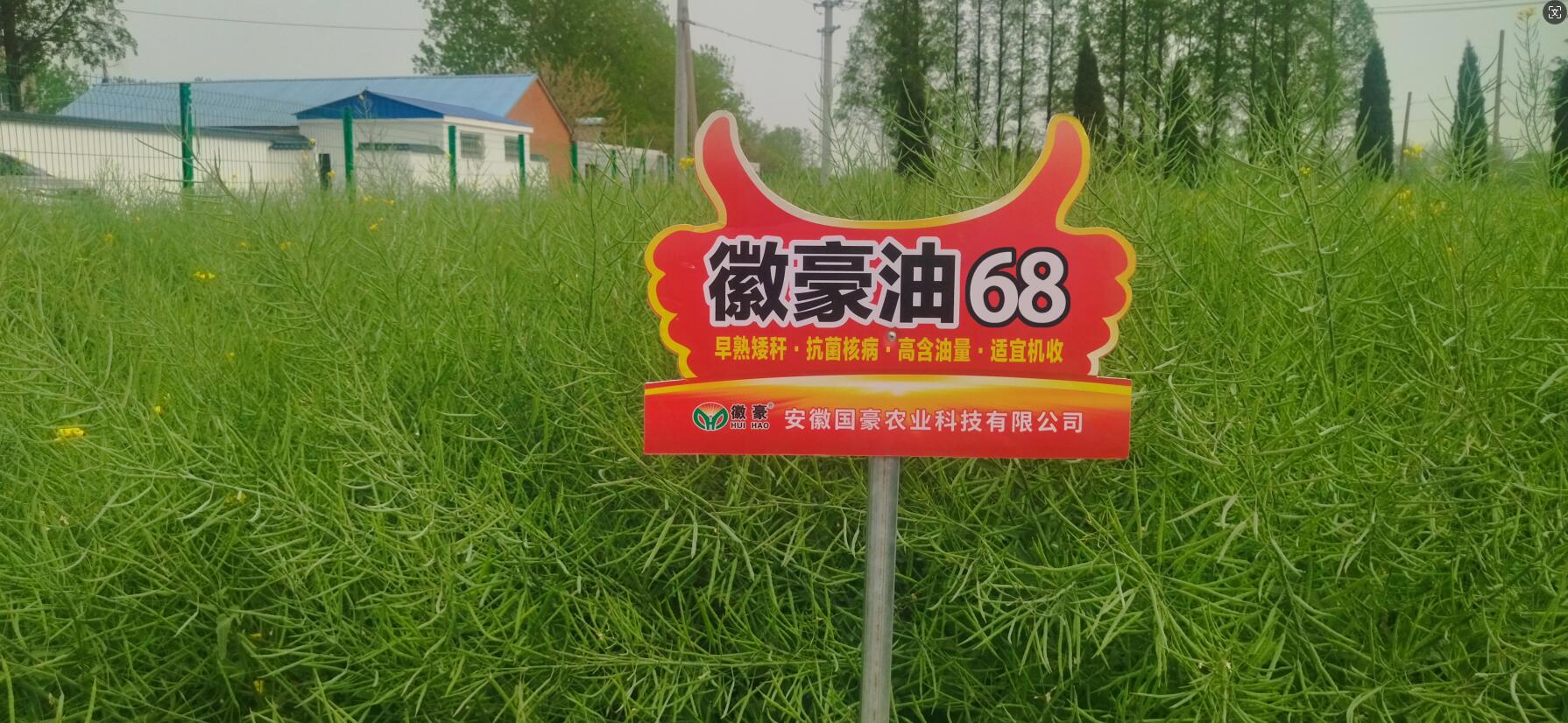 1722237075221555.jpg QQ截圖20240729152140.jpg