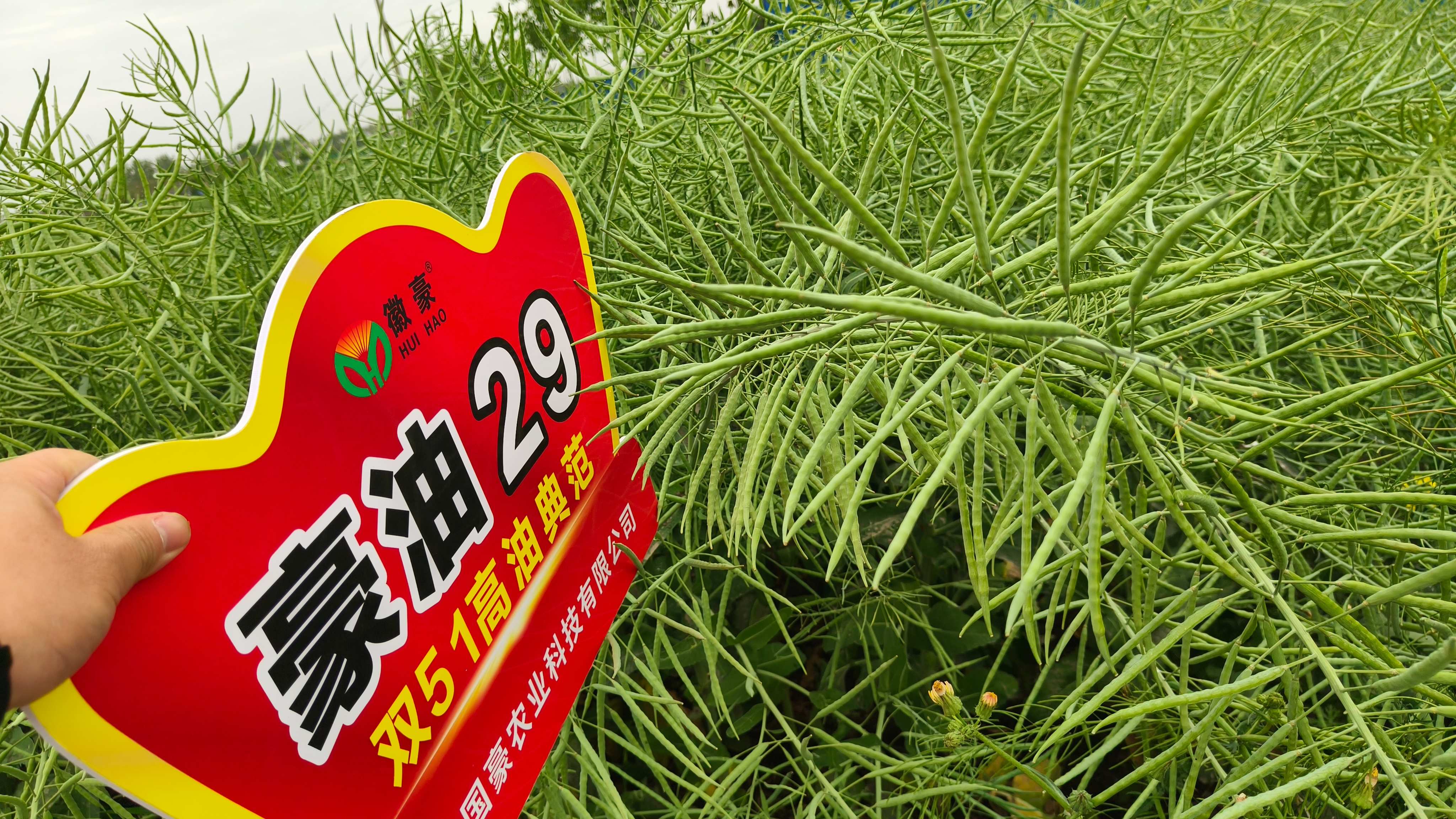 微信圖片_20260521090150_13_20(1).jpg